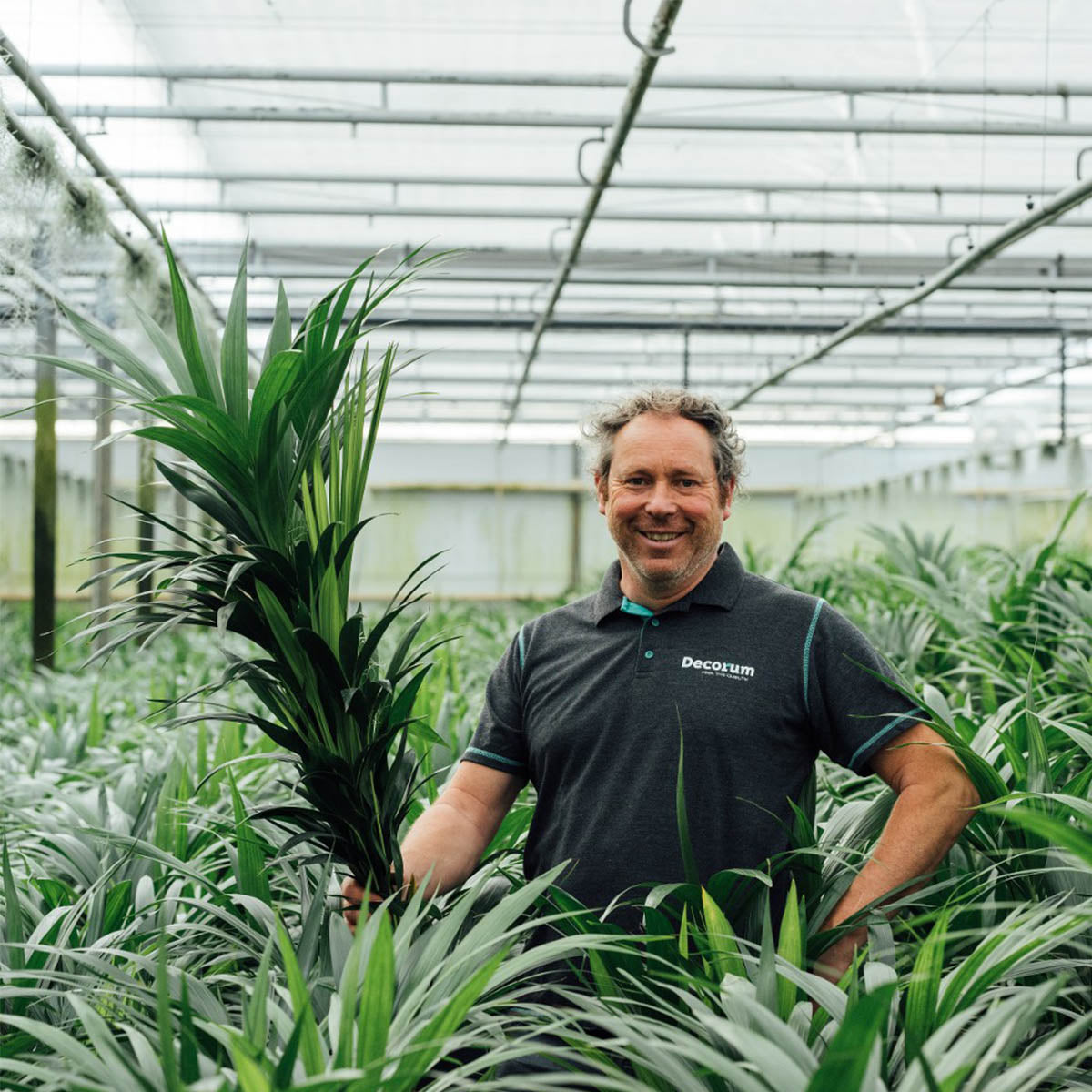 Gerrit Stolze holding a plant in his greenhouse